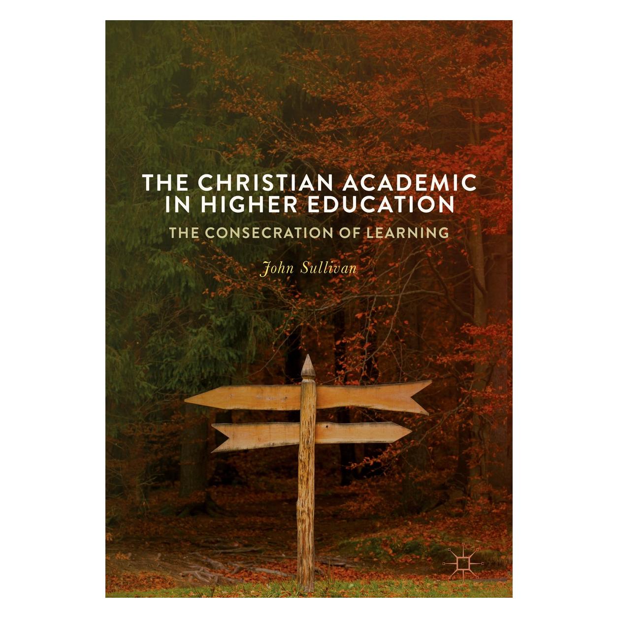 Springer Sullivan:The Christian Academic in High (Englisch, Hardcover, John Sullivan) (9783319696287)