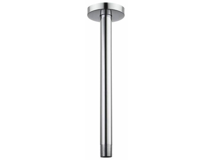 Duscharm Deckenmontage 30cm Rund Edelstahl 1/2 NPT für Regendusche