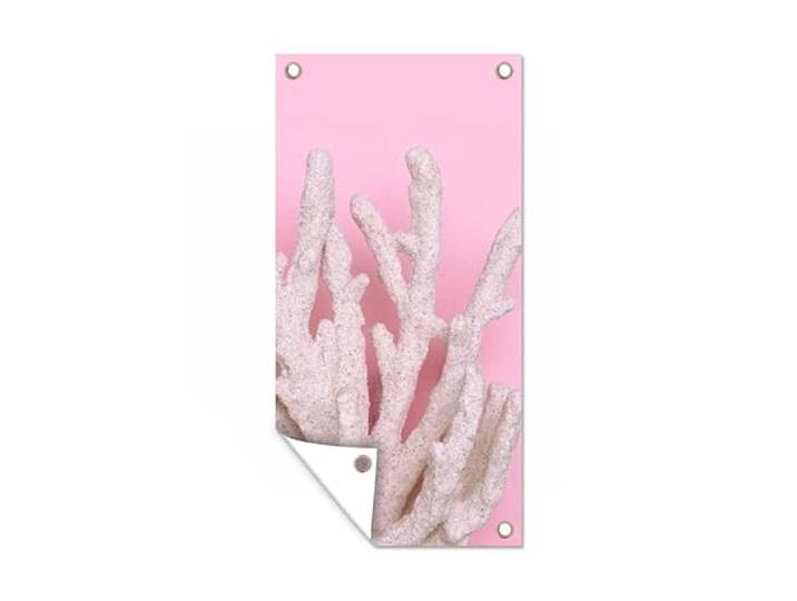 Tuinposter - 80x160 cm - Koraal - Roze - Zomer