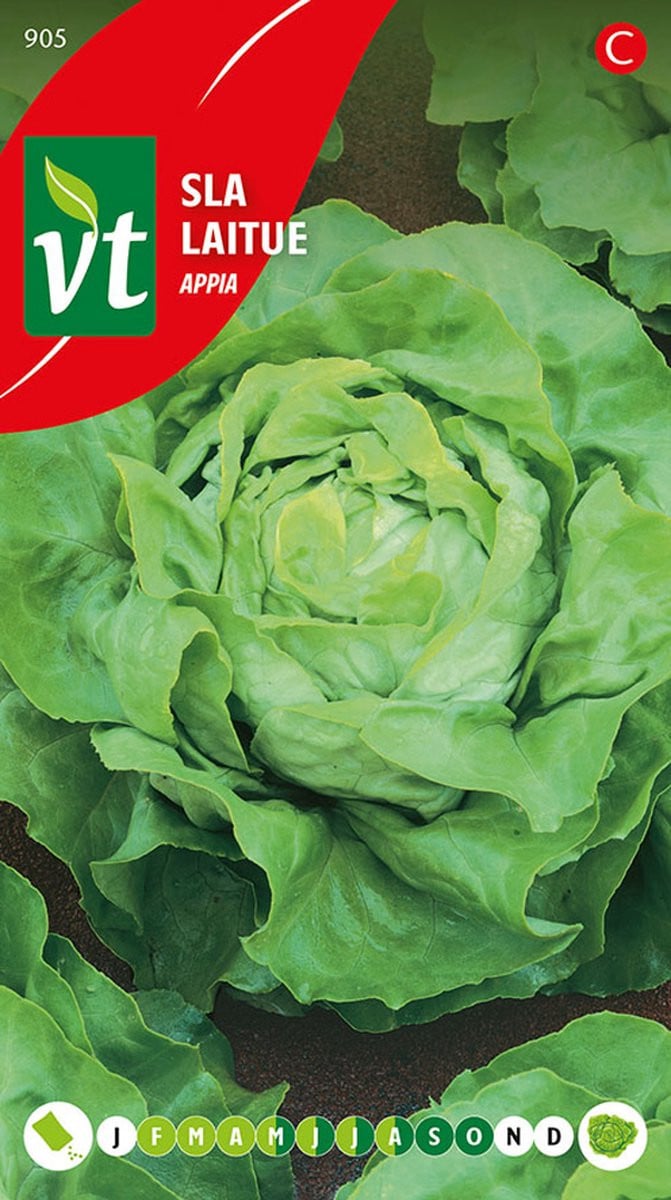 Sla Appia Zaden - Malse, Vaste Bladeren voor het Hele Seizoen