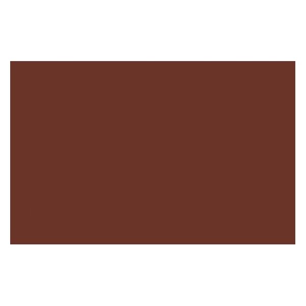 Winsor & Newton Ac Spray 400Ml Burnt Sienna 0127 (4450127)