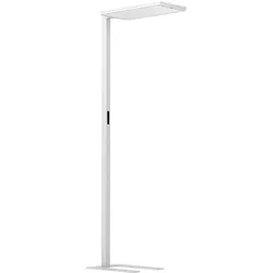 Performance in Light LED-Stehleuchte 3123778