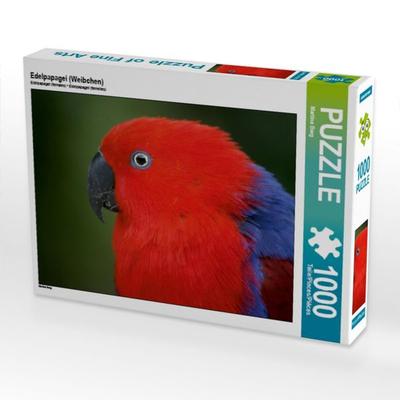 CALVENDO Puzzle Edelpapagei (Weibchen) | 1000 Teile Lege-Größe 64x48cm Foto-Puzzle für glückliche Stunden