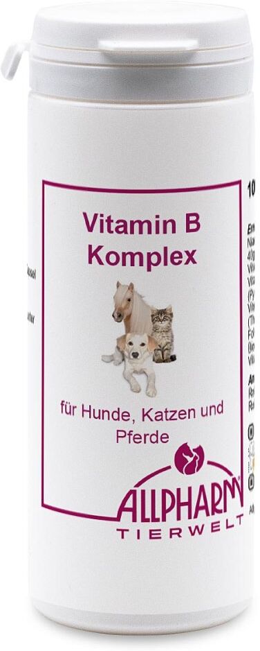 Vitamin B Komplex Kapseln für Hunde