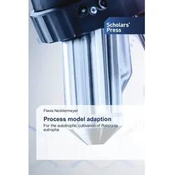 Process model adaption, Fachbücher von Flavia Neddermeyer