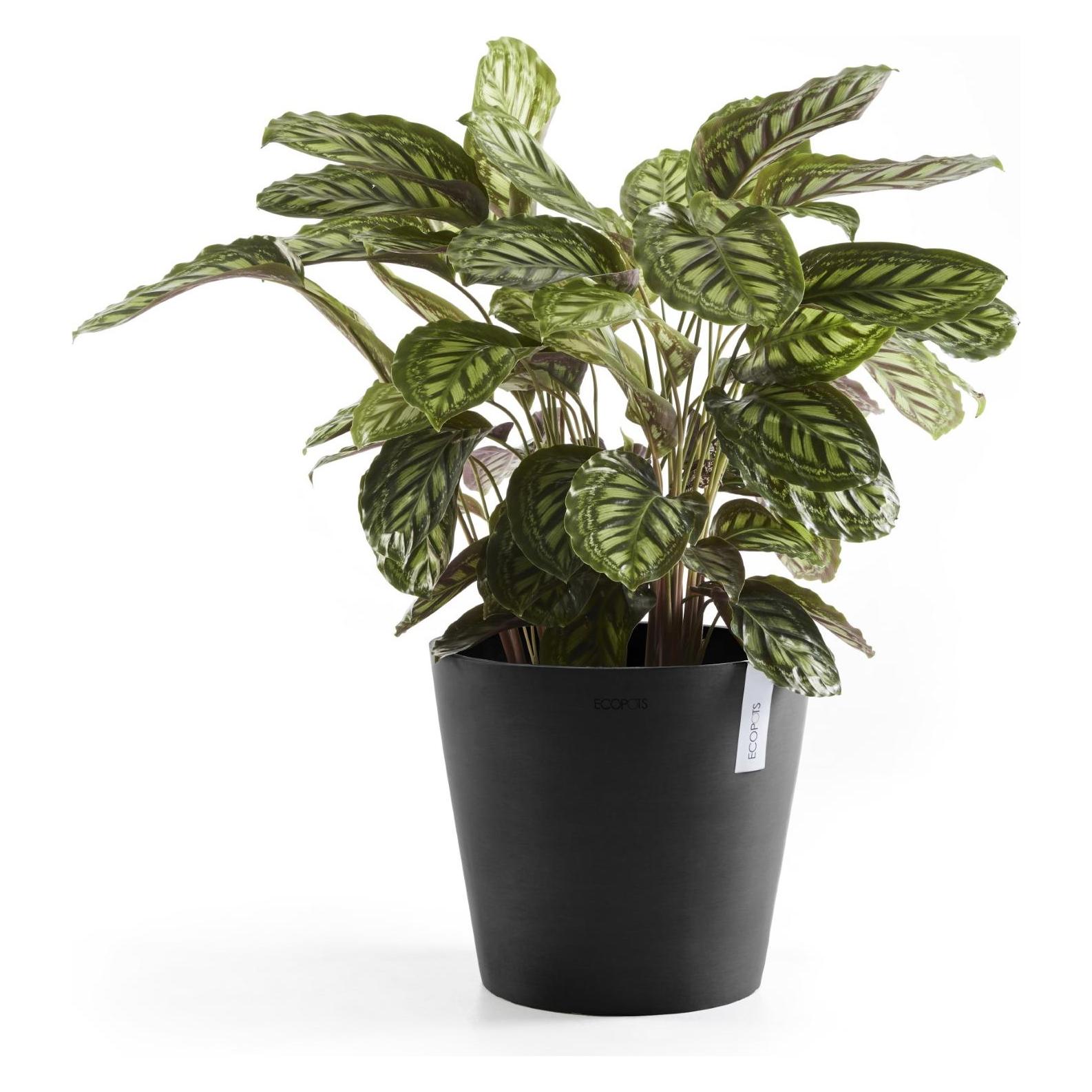 Ecopots Amsterdam (30 x 26.30 cm) (AM.30.DG)