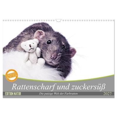 Rattenscharf und zuckersüß (Wandkalender 2027 DIN A3 quer), CALVENDO Monatskalender