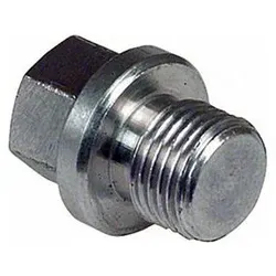 Edelstahl Verschlussschraube V4A Gewindefitting - 1" - Typ 331