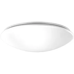 RZB, Wandleuchte + Deckenleuchte, LED-Decken-/Wandleuchte (1200 lm)