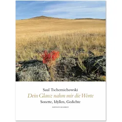 Dein Glanz nahm mir die Worte, Belletristik von Saul Tschernichowski