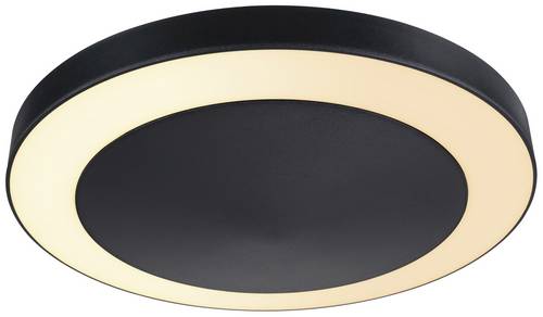 Paulmann Circula 94525 LED-Außendeckenleuchte 14W Anthrazit