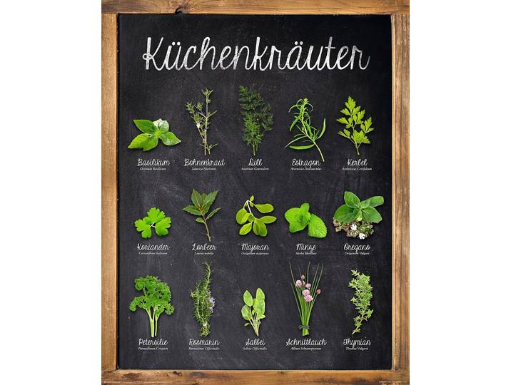 Deco-Panel OTTO HOME Küchenkräuter , grün (farbe rahmen: holzfarben, farbe bild(er): grün anthrazit), B:40cm H:50cm, MDF, Papier, Bilder, Deco-Panel, 40/50 cm