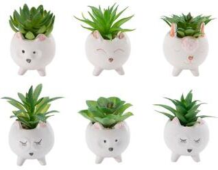 IH Casa Decor Ceramic Animal With Succulent Asstd - Set of 6