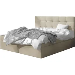 BOXBETT Luanda - H3