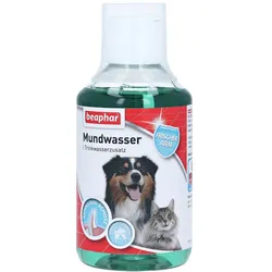 Beaphar Mundwasser F.hunde/katzen 0,25 l