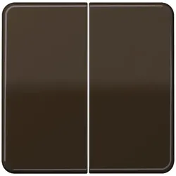 Jung Steuertaste 2-fach CD 1702 BR