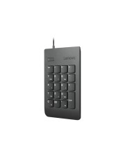 Lenovo Numeric Keypad Gen II Tastenfeld USB Schwarz für 14e Chromebook S940-14 ThinkCentre M630 ThinkPad E490 T590 V540-24 (4Y40R38905)