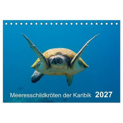 Meeresschildkröten der Karibik (Tischkalender 2027 DIN A5 quer), CALVENDO Monatskalender