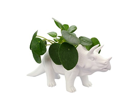 Bitten Design Tricerapot Dino Bloempot voor op tafel