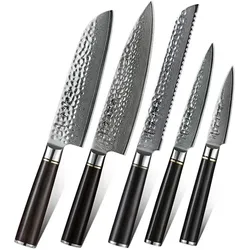 Hezhen - Damastmesser Set 5-teilig - B1Z Classic Serie