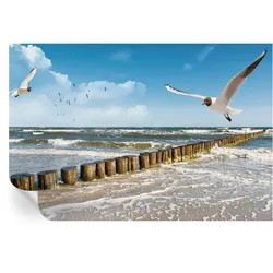 FOTOTAPETE 104x70 cm - Küstenlandschaft