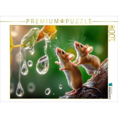CALVENDO Puzzle Los, jetzt fangen wir diese dicken Tropfen | 1000 Teile Lege-Größe 64x48cm Foto-Puzzle für glückliche Stunden, Sonstige von , Calvendo
