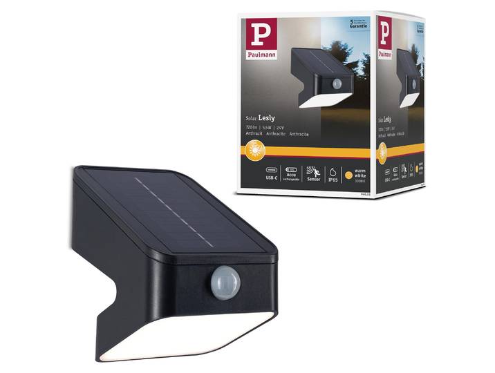 Paulmann Solar LED Wandfluter Lesly Dämmerungsgesteuerter Bewegungsmelder (IR)