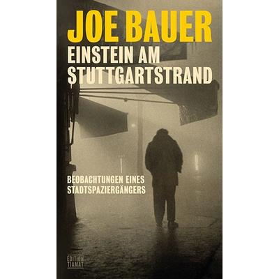 Einstein am Stuttgartstrand, Taschenbuch von Joe Bauer, Edition Tiamat, 978-3-89320-320-8