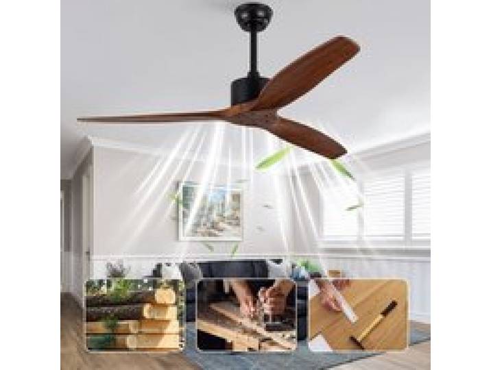 ROVRYN Ventilateur de plafond sans lumière Ø132 cm télécommande 6 vitesses bois noir