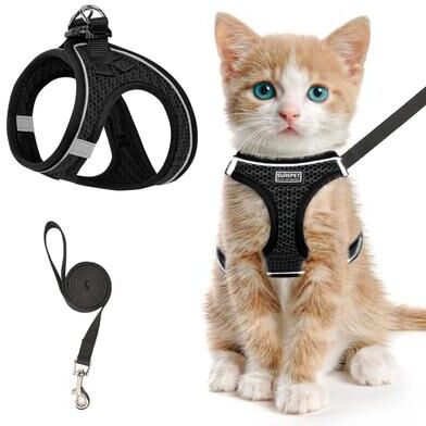 Inspire Essentials Adventure Cat Harness Set a m
