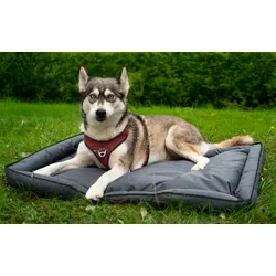 Berger PawCloud Hundebett 105x70 cm