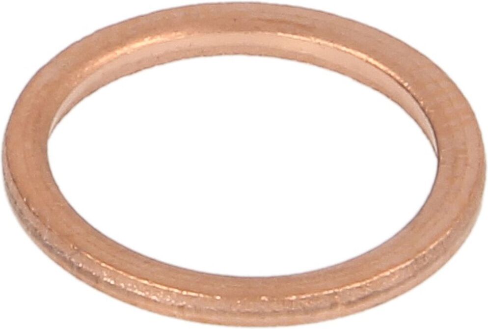 Voith O-ring per il cambio H01.004442