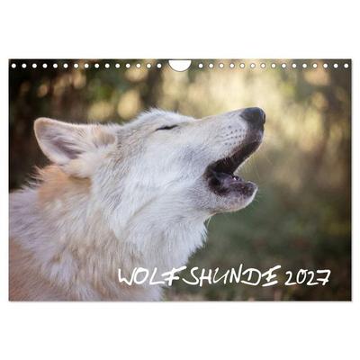 Wolfshunde 2027 (Wandkalender 2027 DIN A4 quer), CALVENDO Monatskalender