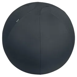 Leitz 6542-00-89 Sitzball Active - Ø 65 cm, samtgrau