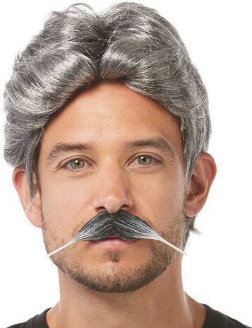 Perücken-Set "Gentleman", grau