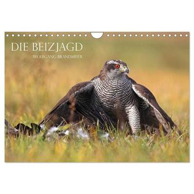 Die Beizjagd (Wandkalender 2027 DIN A4 quer), CALVENDO Monatskalender