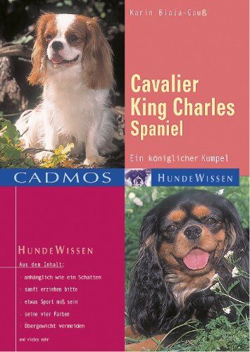 Karin Biala-Gauß - Cavalier King Charles Spaniel: Ein königlicher Kumpel - Preis vom 09.10.2026 07:28:09 h