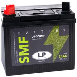 Batterie 12V 24Ah für Rasenmäher Rasentraktor LB U1-300MF