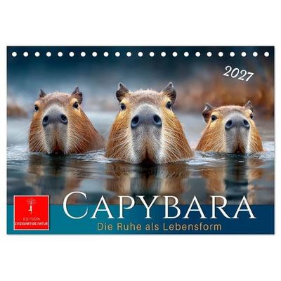 Capybara - die Ruhe als Lebensform (Tischkalender 2027 DIN A5 quer), CALVENDO Monatskalender