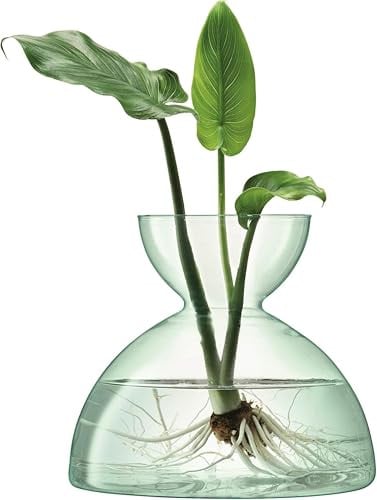 LSA International Vaas van Glas, Hoogte: 18 cm