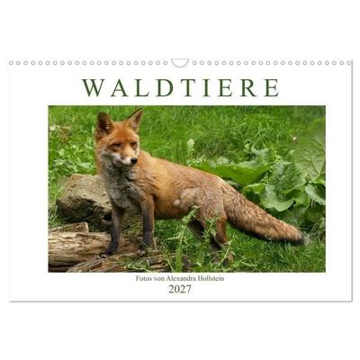 Waldtiere (Wandkalender 2027 DIN A3 quer), CALVENDO Monatskalender