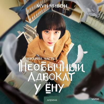 Extraordinary attorney woo 1: moon jiwon screenplay book - Moon Jiwon, Audio, 4099995341249