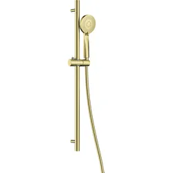 Neuesbad Serie 200 Duschset, 3-Funktionen, Gold gebürstet NB1DENQAR51K1
