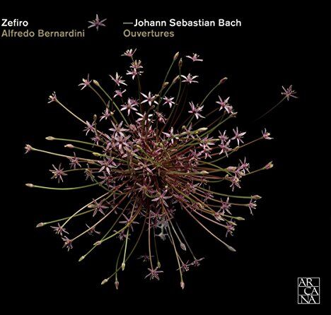 Alfredo Bernardini - J. B. Bach: Orchestersuiten - BWV 119R, 1066, 1068, 194R, 1069 - Preis vom 09.10.2026 07:28:09 h