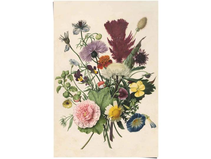 Poster REINDERS Blumenstrauß Stilleben - Blumen - Rijksmuseum , bunt (farbe bild(er): mehrfarbig), B:61cm H:91,5cm, Papier, Bilder, Poster