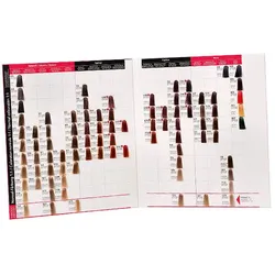 basler Color Creative Farbkarte