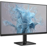 24E2N1100LB, LED-Monitor 60.5 cm (23.8 Zoll), schwarz, FullHD, VA, HDMI, VGA, Adaptive-Sync, 100Hz Panel