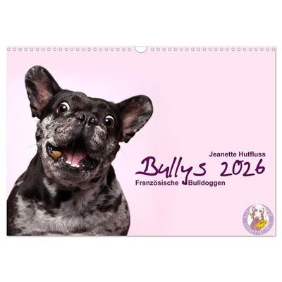 Bullys - Französische Bulldoggen 2026 (Wandkalender 2026 DIN A3 quer), CALVENDO Monatskalender