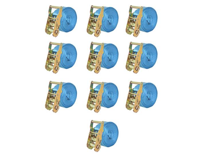 vidaXL Ratschen-Spanngurte 10 Stk. 2 Tonnen 6m×38mm Blau