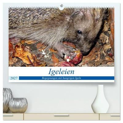 Igeleien - Begegnungen mit hungrigen Igeln (hochwertiger Premium Wandkalender 2027 DIN A2 quer), Kunstdruck in Hochglanz